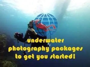 UW Photography | Dive Funatics