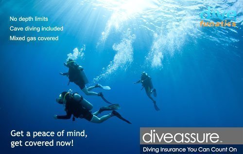 Get covered by Dive Assure