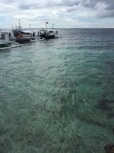 Scuba Diving| PADI Lessons | Cebu Philippines