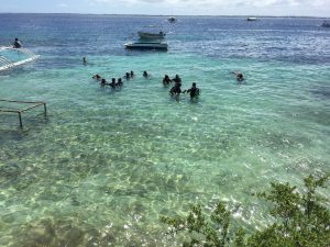 Scuba Diving| PADI Lessons | Cebu Philippines