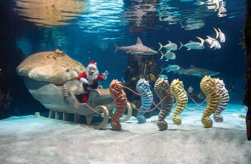 You are invited to a 2-dive Christmas Party!