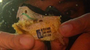 Do Not Litter | Dive Funatics