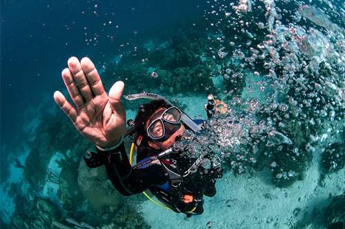 Top 3 toughest questions to ask your dive instructor