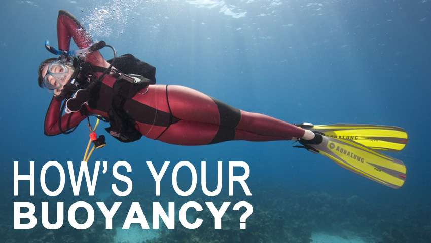 How's your buoyancy | Dive Funatics
