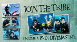 DM Internship at Dive Funatics