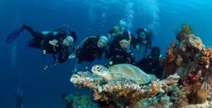 Dive Funatics - PADI SCUBA Courses Specialists in Cebu
