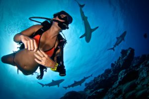 Dive Funatics - PADI SCUBA Courses Specialists in Cebu