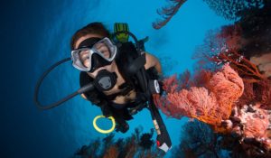 Dive Funatics - PADI SCUBA Courses Specialists in Cebu