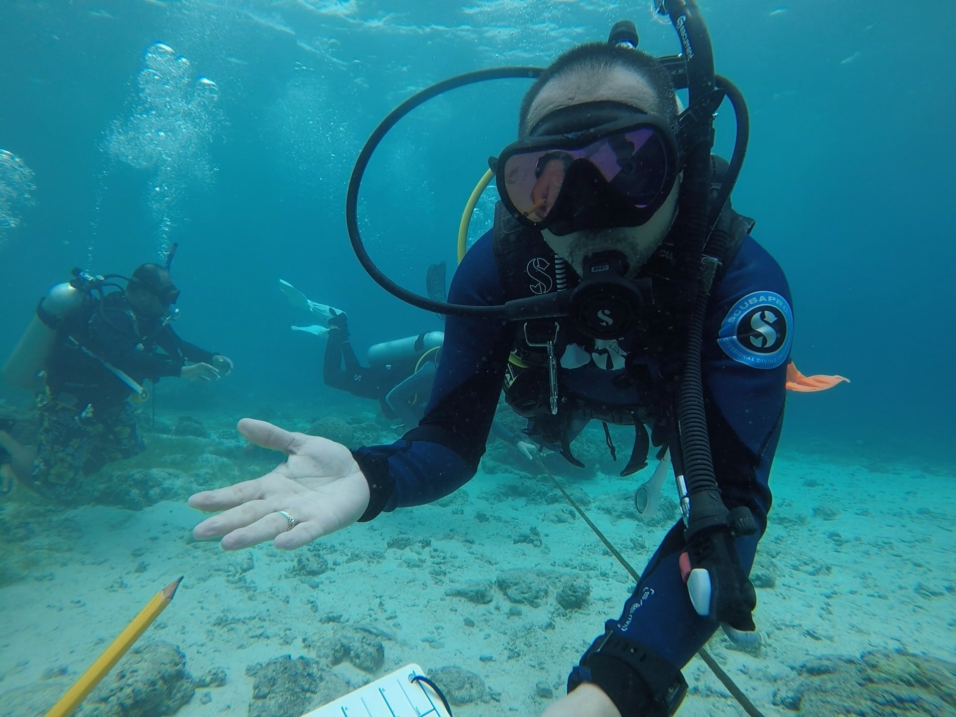 Why is the new PADI IDC Curriculum better?